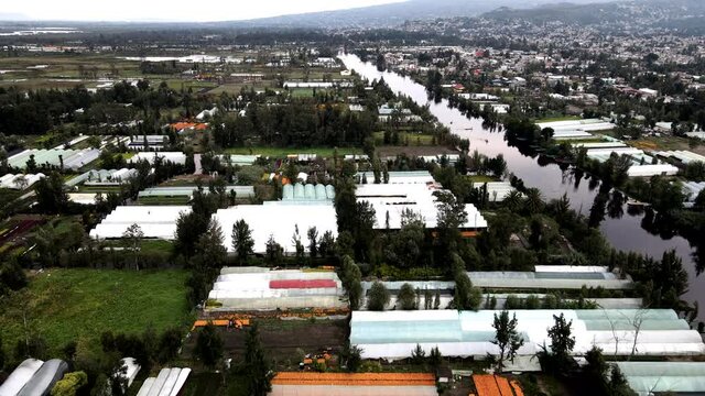 Drone shot of greenhouses in Xochimilco mexico city with cempasuchil flower