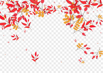 Yellow Leaves Background Transparent Vector. Berries Fly Set. Burgundy Foliage Plant. Abstract Card. Leaf Gradation.
