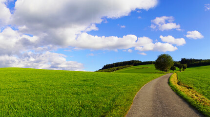 Landscape in the Sauerland near Oberhenneborn. Panoramic view of the green nature with hills and forests.
