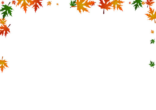 Colorful Plant Background White Vector. Maple Isolated Pattern. Brown Fall. Collection Texture. Golden Leaf November.