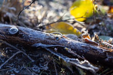 Wedding ring with white gold on wood covered with frost