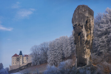 Maczuga Herkulesa w Pieskowej Skale