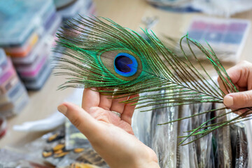 Female artist choosing natural peacock feather for creating dreamcatcher at workshop decor amulet