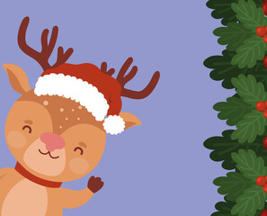 reindeer cartel design