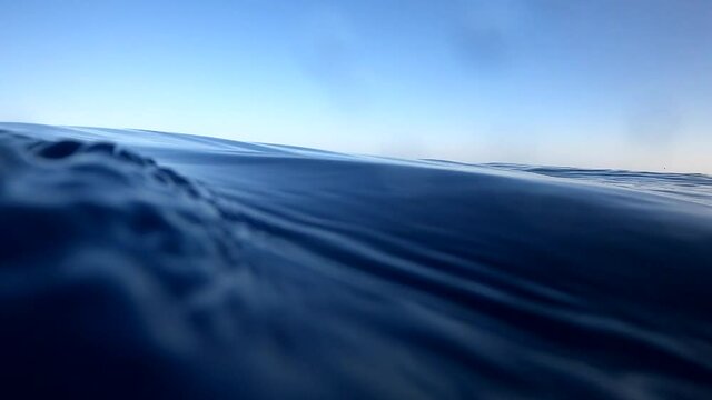 Underwater camera plunges over down into the water and into the depths of Egypt, the Red Sea. hd video