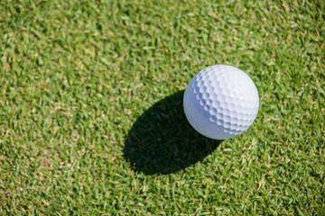 緑が綺麗な芝と真っ白なゴルフボール