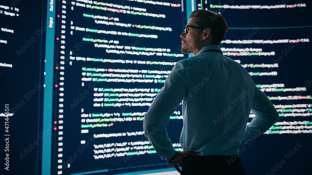 Poster Innovative Startup Concept: Thoughtful Software Engineer Finding Solution, Planning Strategy, Standing and Doing Data Analysis on Big Wall Screen. Programmer Developing e-Commerce App. Back View Shot
