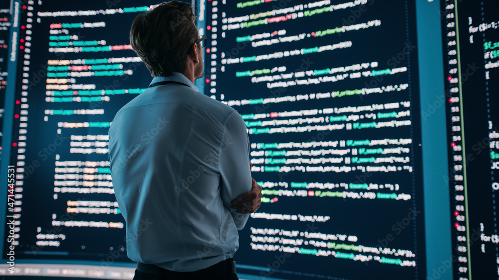 Poster Innovative Computer Science Concept: Software Engineer Standing and Doing Information Technology Analysis on Big Wall Screen. Programmer Developing e-Commerce App.