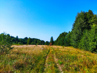 Fototapeta na wymiar Road Through A Countryside Field On A Sunny Day