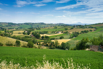 Fototapeta na wymiar Rural landscape near Corinaldo and Ostra Vetere, Marche, Italy