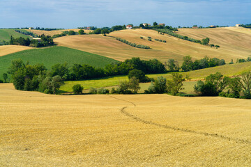 Rural landscape near Ostra Vetere and Cingoli, Marche, Italy