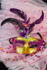 Carnival mask with feathers and confetti on pink tulle fabric