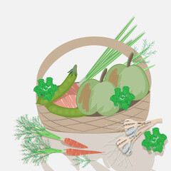 Harvest. A basket of vegetables  and fruits: garlic, carrots, lettuce, apples, peas. Vector graphics