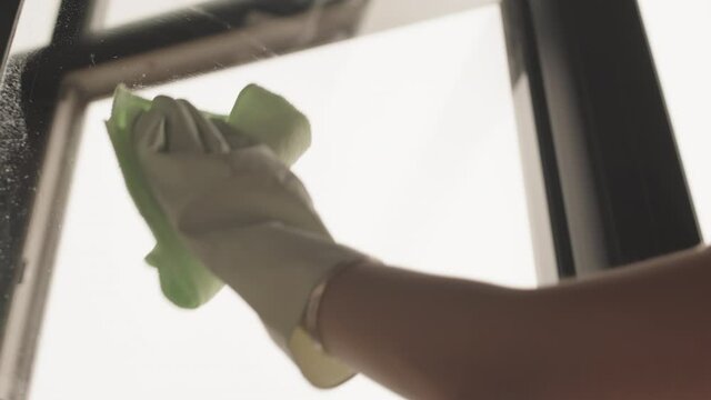 Low-angle medium close-up with slowmo of young Asian woman in rubber gloves cleaning windows with cleaner spray and cloth during housework