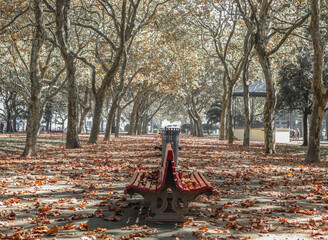 autumn bench red leaves park walk relax