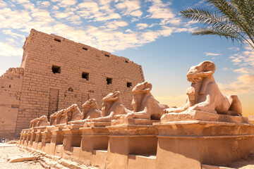 Karnak Temple, an avenue of human headed sphinxes, Luxor, Egypt