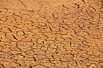 Mud Cracks in Dry Lake