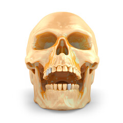 Screaming golden skull on white background. 3D rendering 