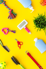 Pet accessories and grooming tools set with toys, top view