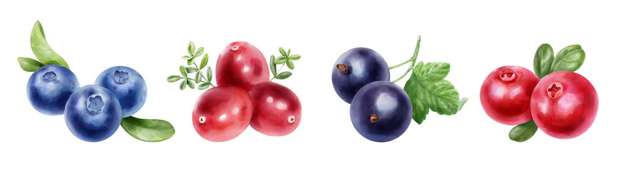 Eco food labels set. Watercolor hand drawn sketch berries.