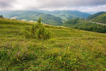 mountain road through countryside on a cloudy morning. beautiful landscape in september