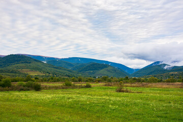 rural field in mountains at dawn. cloudy early autumn weather