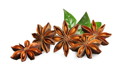 Aromatic dry anise stars and green leaves on white background