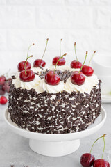 Black forest cake, Schwarzwald pie. Cake with dark chocolate, whipped cream and cherry on a gray concrete background. Copy space.