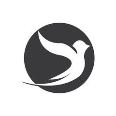 Abstract Bird logo design template