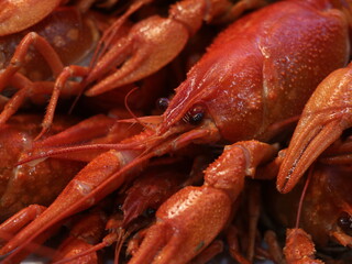Close-up shot of boiled red crayfish