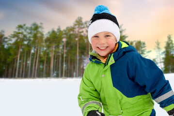 childhood, leisure and season concept - happy little boy in winter clothes outdoors over snowy forest or park background © Syda Productions