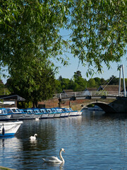 The Norfolk Broads popular boating Village of Wroxham on The River Bure, Wroxham, Norfolk, England, UK