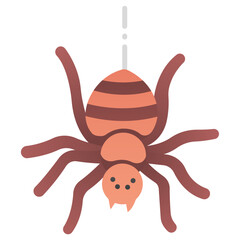 spider icon