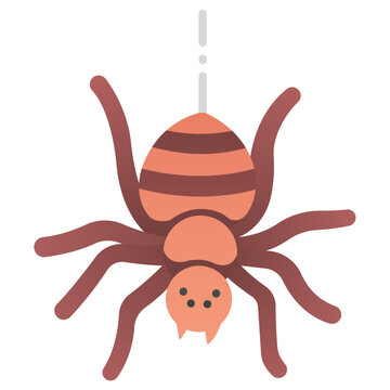 spider icon