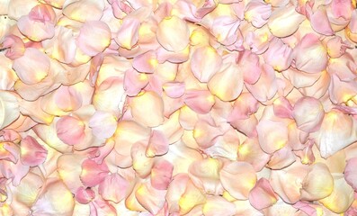 Rose petals, silk texture pastel background for greeting cards, wedding decoration, jewelry and cosmetics presentations.
