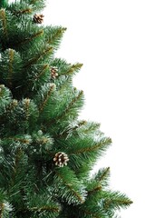 Decorated Christmas tree and red presents