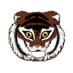 Tiger. New year symbol isolated on white background, design element. Stock illustration.