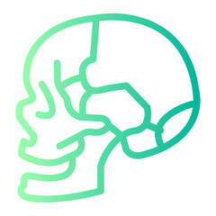 skull gradient icon