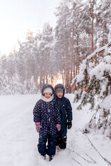 winter forest, snow forest, games in the forest, snowdrifts, children's overalls , girl in the forest, order, dad, children, family winter walk