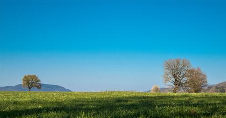Obraz premium Arbres en hiver à Villereversure, Ain, France