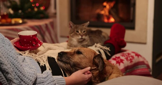A woman is sitting with a book and a cat by the fireplace, enjoying a good book and good company - lying by the fireplace, she is reading, her cat is lying on her feet. Static camera. 4K slow motion