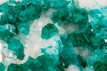 Macro mineral stone Dioptase silicate copper on a white background