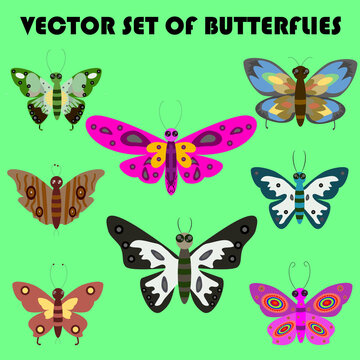 Excellent collection Set of multicolored butterflies