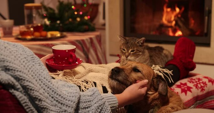 Young woman with her dog and cat sitting at home by the fireplace and reading a book. Warm fireplace decorated for Christmas. 4K slow motion