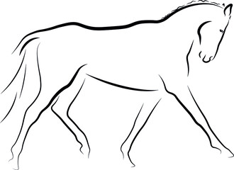 silhouette dressage horse 