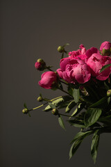Pink peony flowers bouquet on black background. Minimalist elegant aesthetic floral composition
