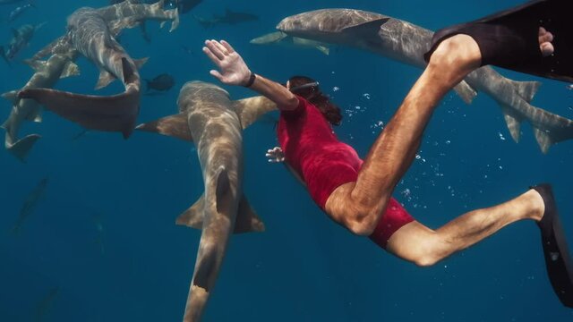 Swim with shark. Man swims with the Nurse shark (Ginglymostoma cirratum) in the tropical sea.