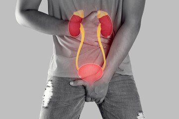 The photo of the bladder is on the man's body against a gray background. People want to pee and is...