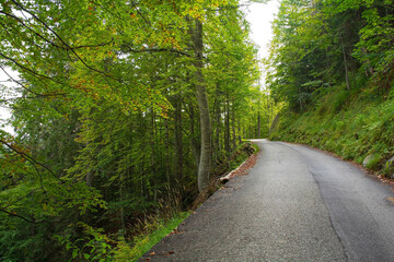 A road on Monte Ruke near Sauris di Sopra, Udine Province, Friuli-Venezia Giulia, north east Italy. Late September
