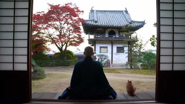 紅葉と座禅をする僧侶